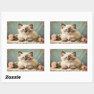 Vintage Süße Perser-Ragdoll-Kätzchen-Katze-Porträt Rechteckiger Aufkleber
