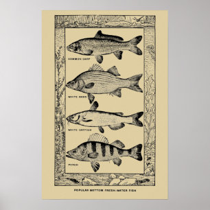 Vintage Süßwasserfische von Louis Rhead Poster
