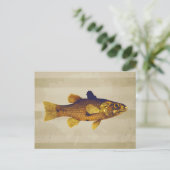 Vintage Süßwasserfischerei Postkarte (Stehend Vorderseite)