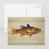 Vintage Süßwasserfischerei Postkarte (Vorne/Hinten)
