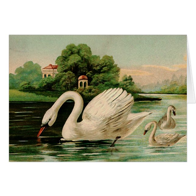 Vintage Swan im Lake (Vorderseite (Horizontal))