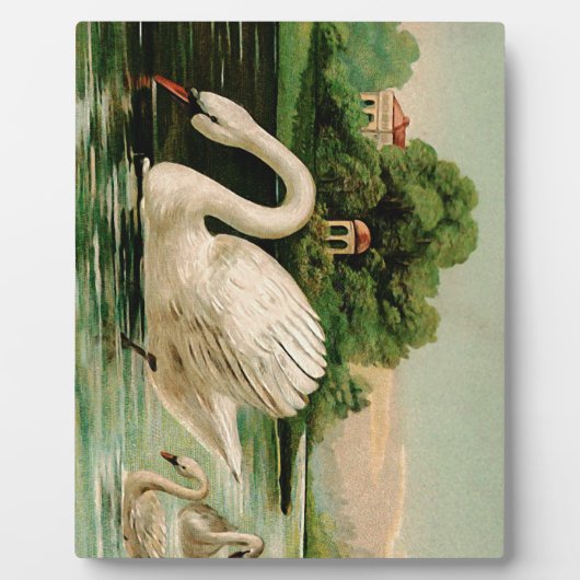 Vintage Swan im Lake Fotoplatte (Vorderseite)