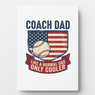 Vintage-T-Shirt-Design für patriotischen Baseball- Fotoplatte