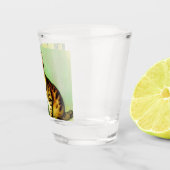 Vintage Tabby Cat Illustration Schnapsglas (Rechts)