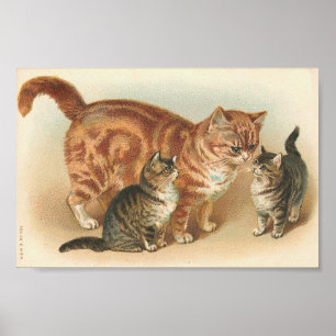 Vintage Tablettenkatze mit Kätzchen Poster