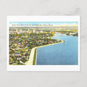 Vintage Tampa Bay, Florida Postkarte