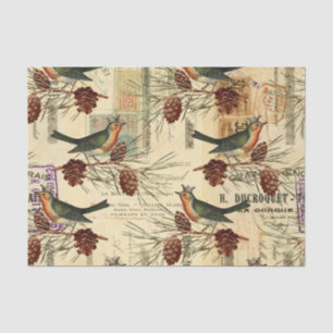 Vintage Tan Birds Pine Cones Weihnachten Seidenpapier