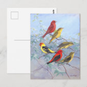 Vintage Tanager Postkarte (Vorne/Hinten)