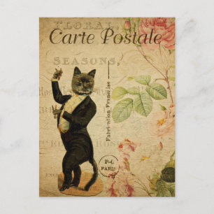 Vintage Tanzkatze im Smoking Französisch Postkarte
