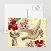 Vintage Taube und Birdbad Postkarte (Vorne/Hinten)