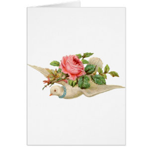 Vintage Taube und Rose