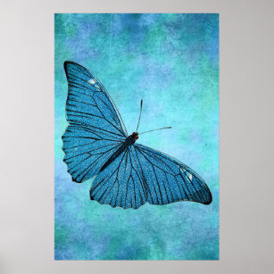 Vintage Teal Blue Butterfly 1800s Illustration Poster