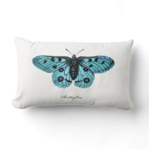 Vintage Tealblaue Schmetterlings-Illustration - 18