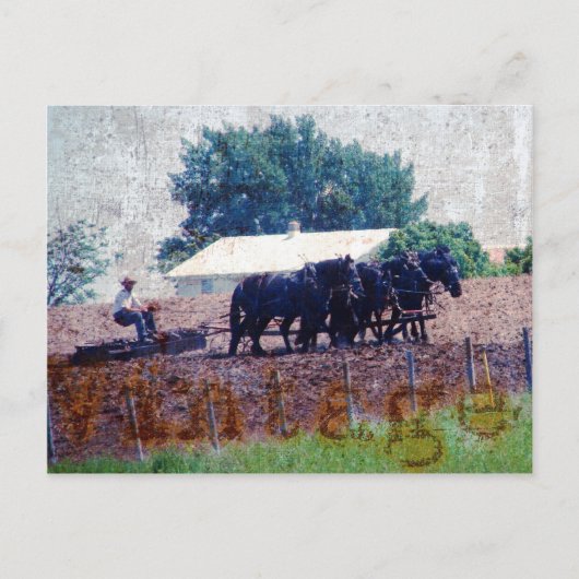 Vintage Teamarbeit Postkarte (Vorderseite)