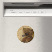Vintage Ted Magnet (In Situ (Geschirrspüler))