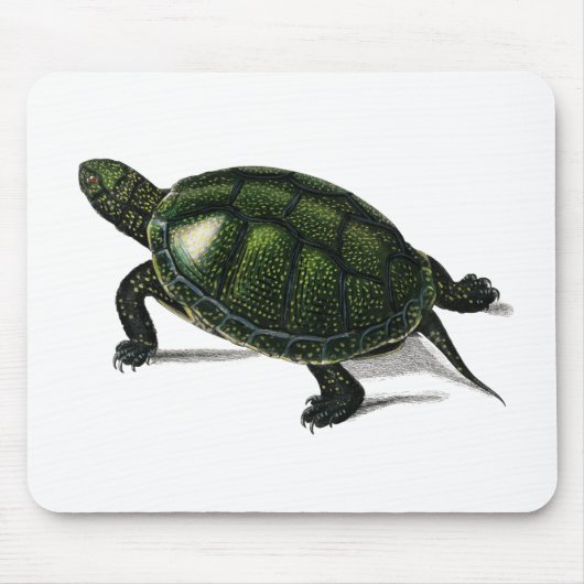 Vintage Teichschild Mousepad (Vorne)