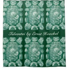 Vintage Teleostei-Muscheln und Fisch von Ernst Hae Duschvorhang