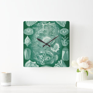 Vintage Teleostei-Muscheln und Fisch von Ernst Hae Quadratische Wanduhr