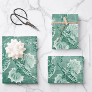 Vintage Teleostei-Schalen und Fische von Ernst Hae Geschenkpapier Set