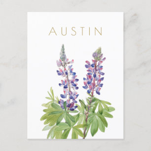 Vintage Texas Blumen Reise Mid Century Postkarte