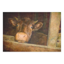 Vintage Textilindustrie im Stall Rustikales Land F