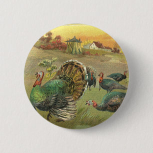 Vintage Thanksgiving mit Truthähnen und Pilgern Button
