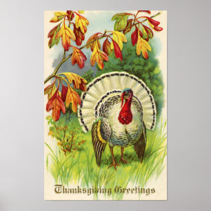 Vintage Thanksgiving Truthahn Poster