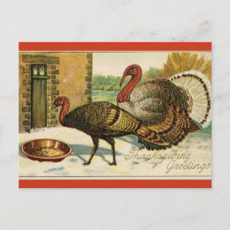 Vintage Thanksgiving Truthähne beim Essen Postkarte