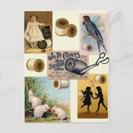 Vintage Thread Sewing Collage Postcard Postkarte (Vorderseite)