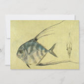 Vintage Threadfin Trevally, afrikanischer Pompano  (Vorderseite)