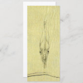 Vintage Threadfin Trevally, afrikanischer Pompano (Vorne/Hinten)