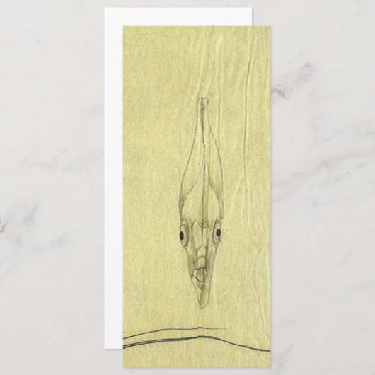 Vintage Threadfin Trevally, afrikanischer Pompano (Vorne/Hinten)