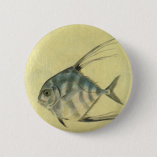 Vintage Threadfin Trevally, afrikanischer Pompano Button (Vorderseite)
