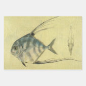 Vintage Threadfin Trevally, afrikanischer Pompano  Geschenkpapier Set (Vorderseite 3)