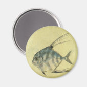 Vintage Threadfin Trevally, afrikanischer Pompano Magnet (Vorderseite/Rückseite)