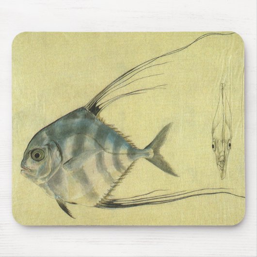 Vintage Threadfin Trevally, afrikanischer Pompano Mousepad (Vorne)