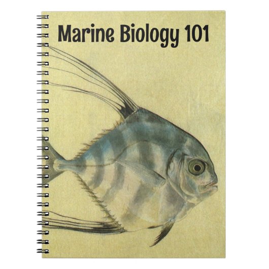 Vintage Threadfin Trevally, afrikanischer Pompano Notizblock (Vorderseite)