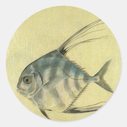 Vintage Threadfin Trevally, afrikanischer Pompano Runder Aufkleber (Vorderseite)