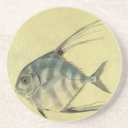 Vintage Threadfin Trevally, afrikanischer Pompano Untersetzer (Vorne)