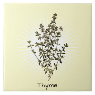 Vintage-Thymian-Kräuter-Botanik-Keramikfliese Fliese