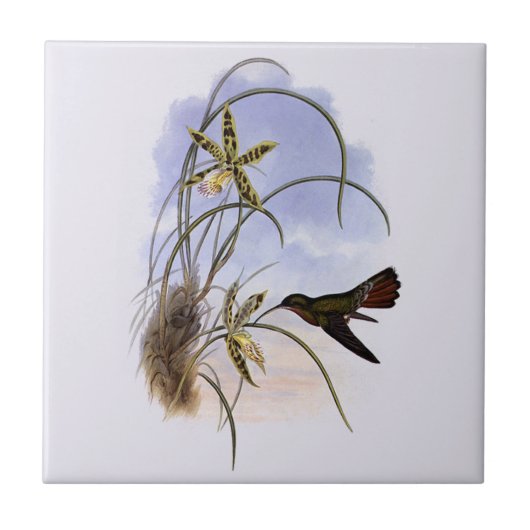 Vintage Tiere, Hummingbird Bird Orchid-Blume Fliese (Vorderseite)