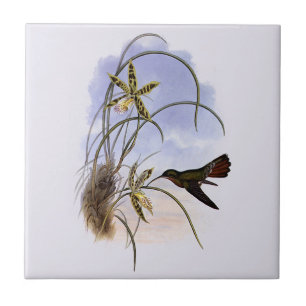 Vintage-Tiere, Kolibri-Vogel-Orchideen-Blumen Fliese