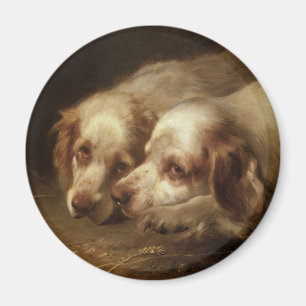 Vintage Tiere, Niedliche Haustiere Hunde Magnet