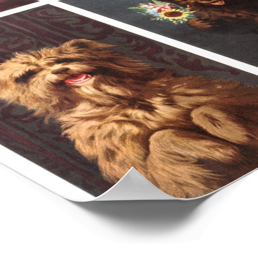 Vintage Tiere Poster (Ecke)