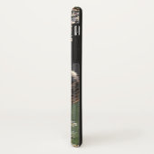 Vintage Tiere, Tabby Cat oder Kätzchen in einer Hä Case-Mate iPhone Hülle (Hinten/Links)