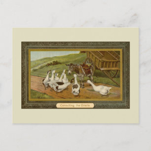 Vintage-Tierillustration bei der Befragung des Ora Postkarte
