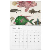 Vintage Tierinsekten Bugs Fish Zoology Kingdom Kalender (Feb 2026)