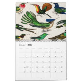 Vintage Tierinsekten Bugs Fish Zoology Kingdom Kalender (Jan 2026)