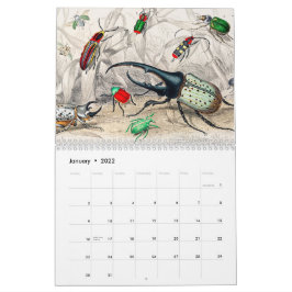 Vintage Tierinsekten Bugs Fish Zoology Kingdom Kalender