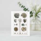 VINTAGE TIERKARTE POSTKARTE (Stehend Vorderseite)